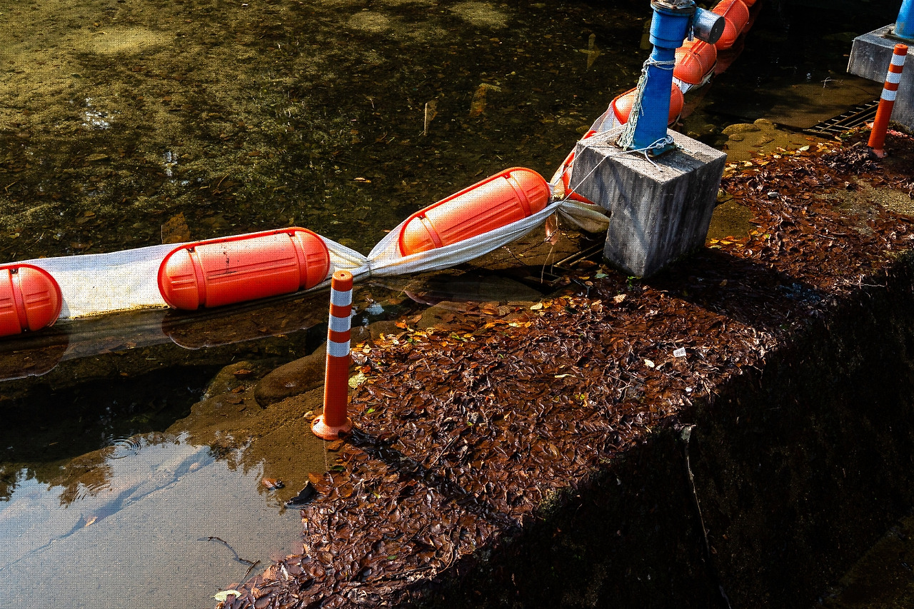 #summer #7 A7C00931.jpg