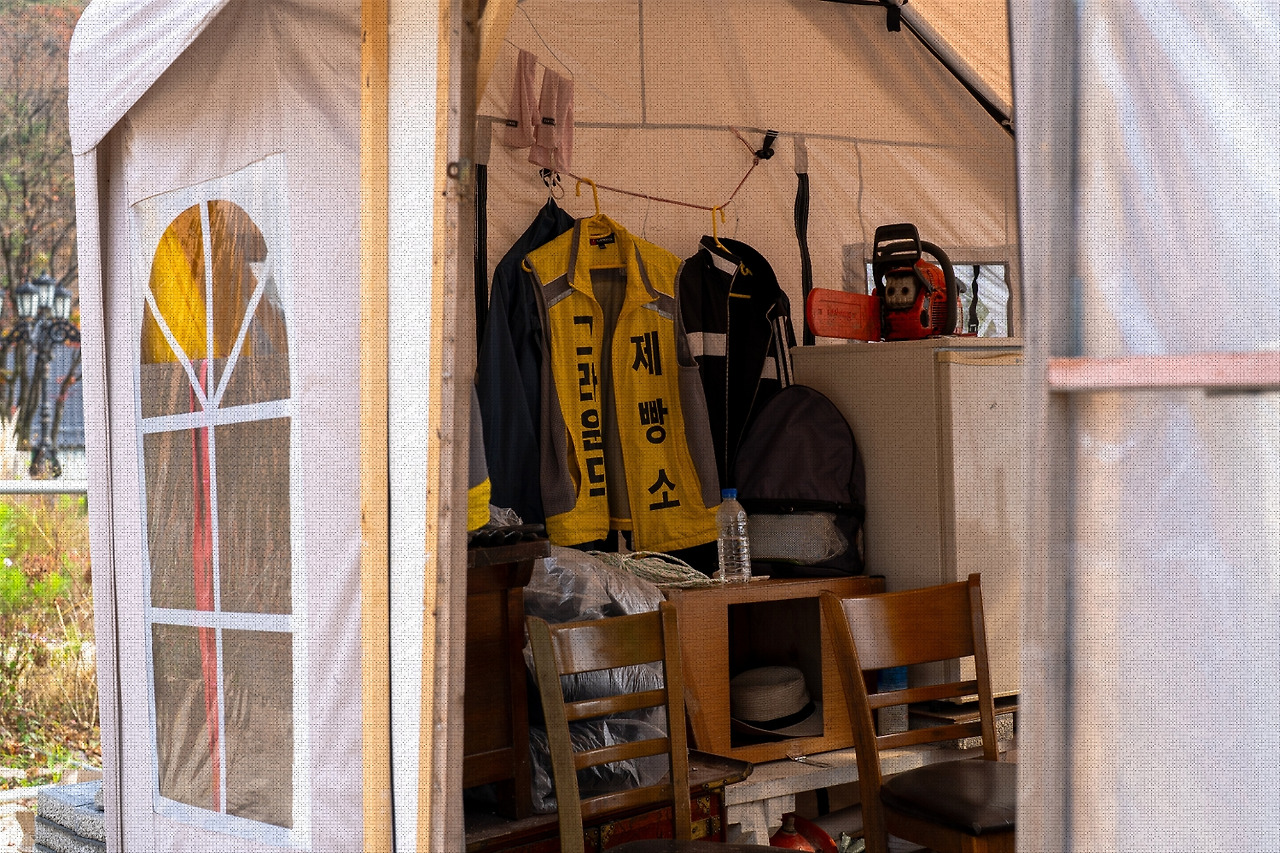 #autumn #6 DSC06612.jpg