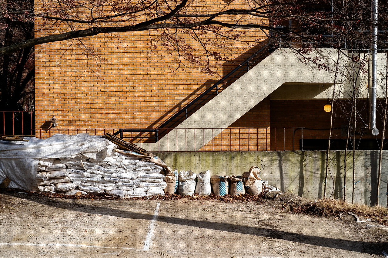 #autumn #6 DSC07078.jpg