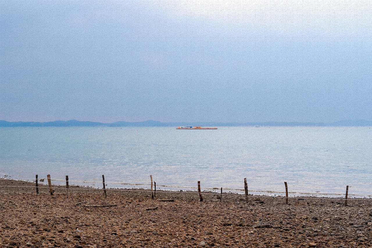 #winter #12 A7C01438.jpg