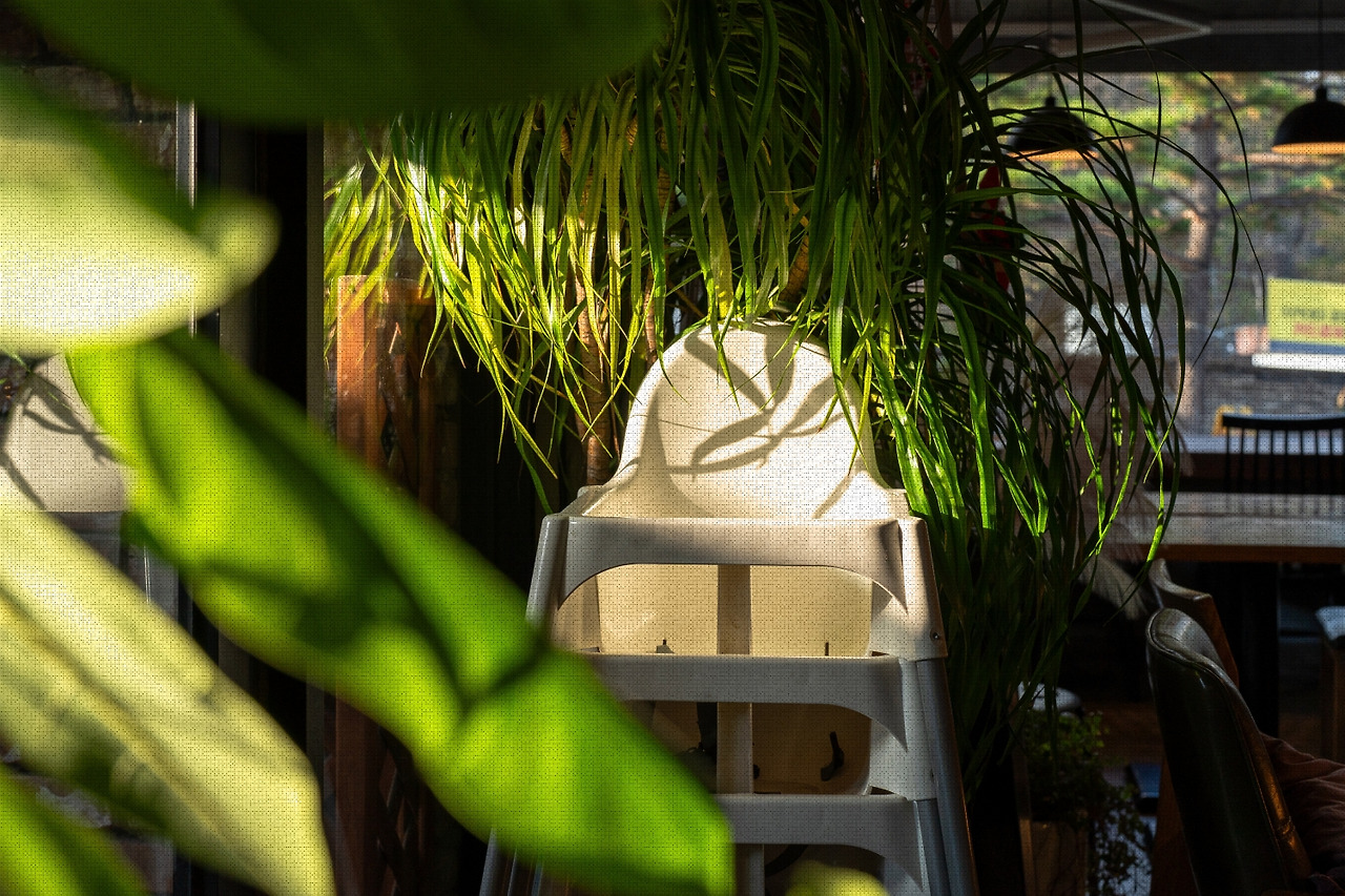 #autumn #5 DSC06682.jpg