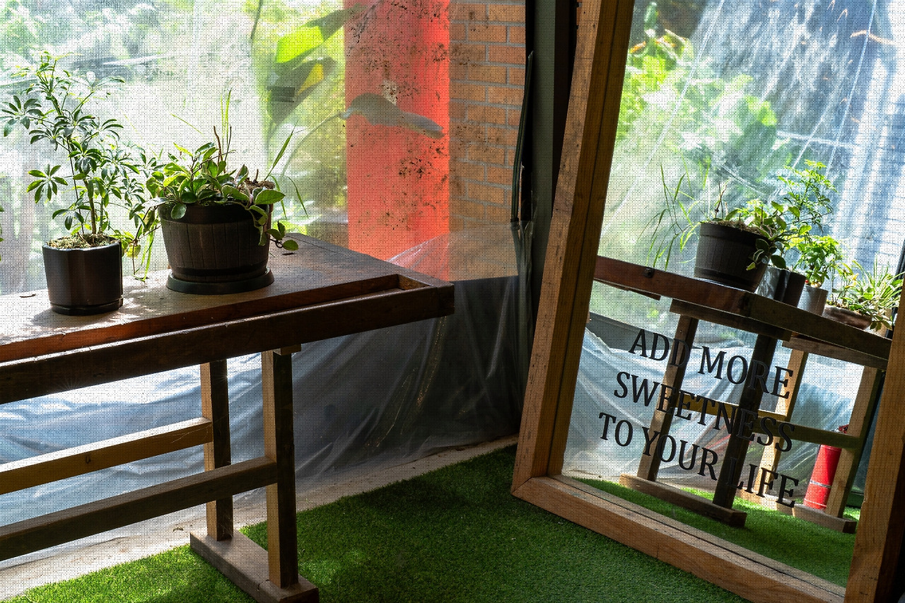 #summer #20 DSC05886.jpg