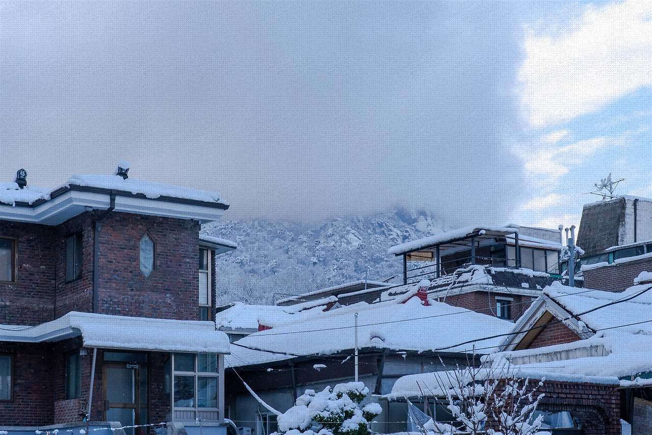 #winter #19 A7C01718.jpg