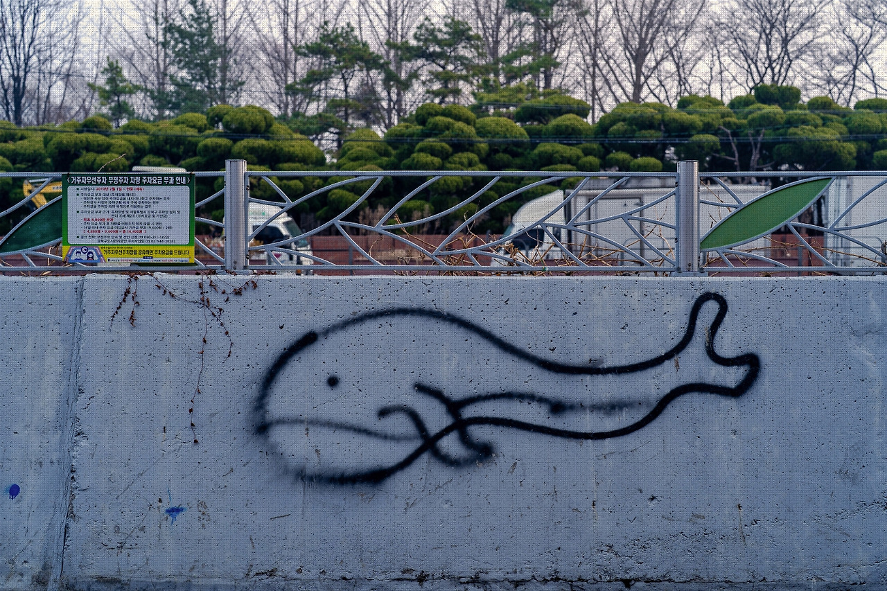 #spring #15 DSC02748.jpg