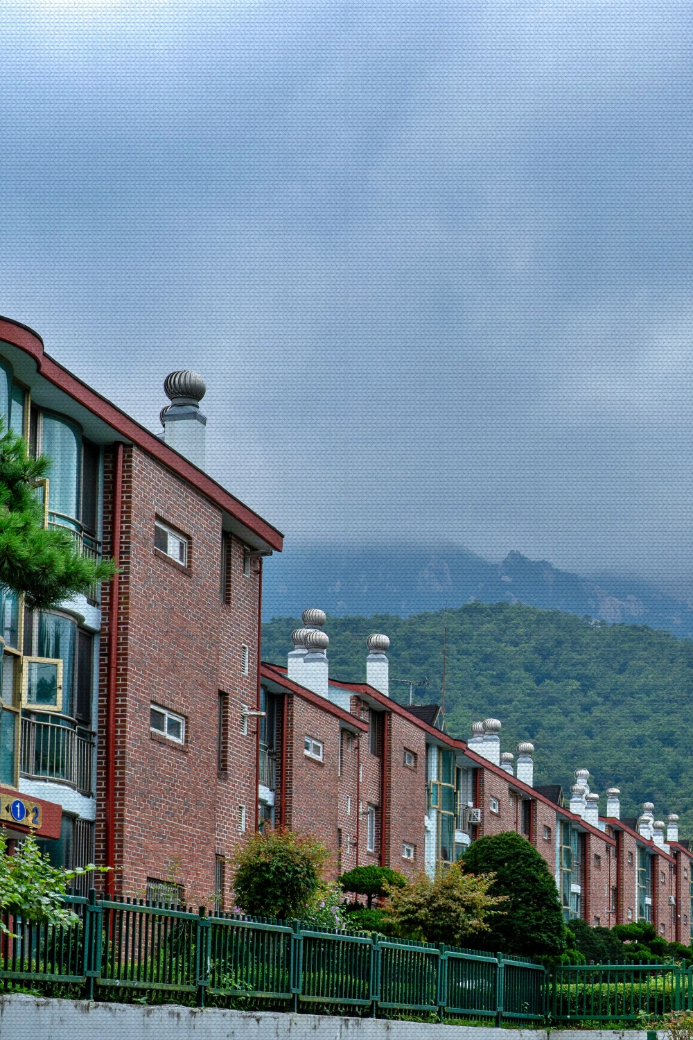 #spring #5 DSC05423.jpg