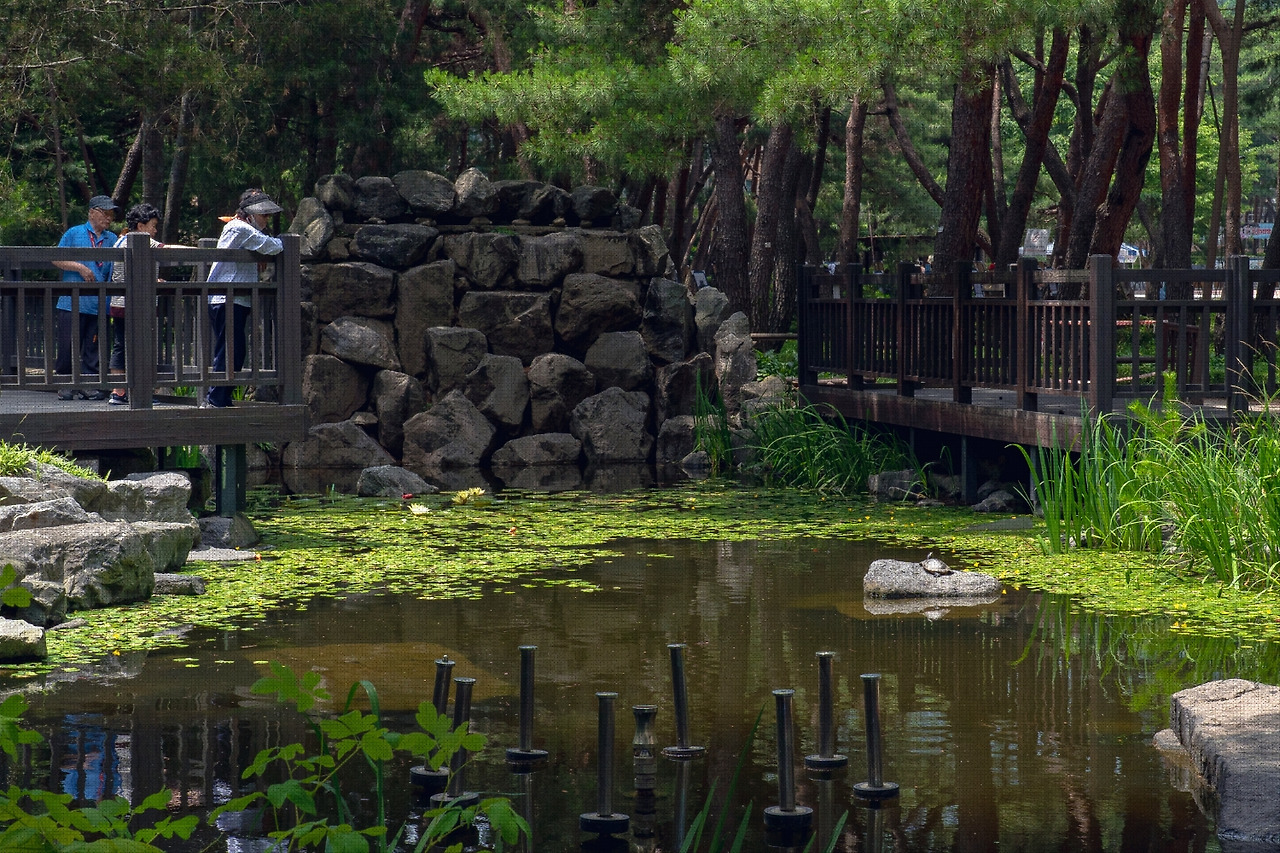 #summer #19 DSC05141.jpg