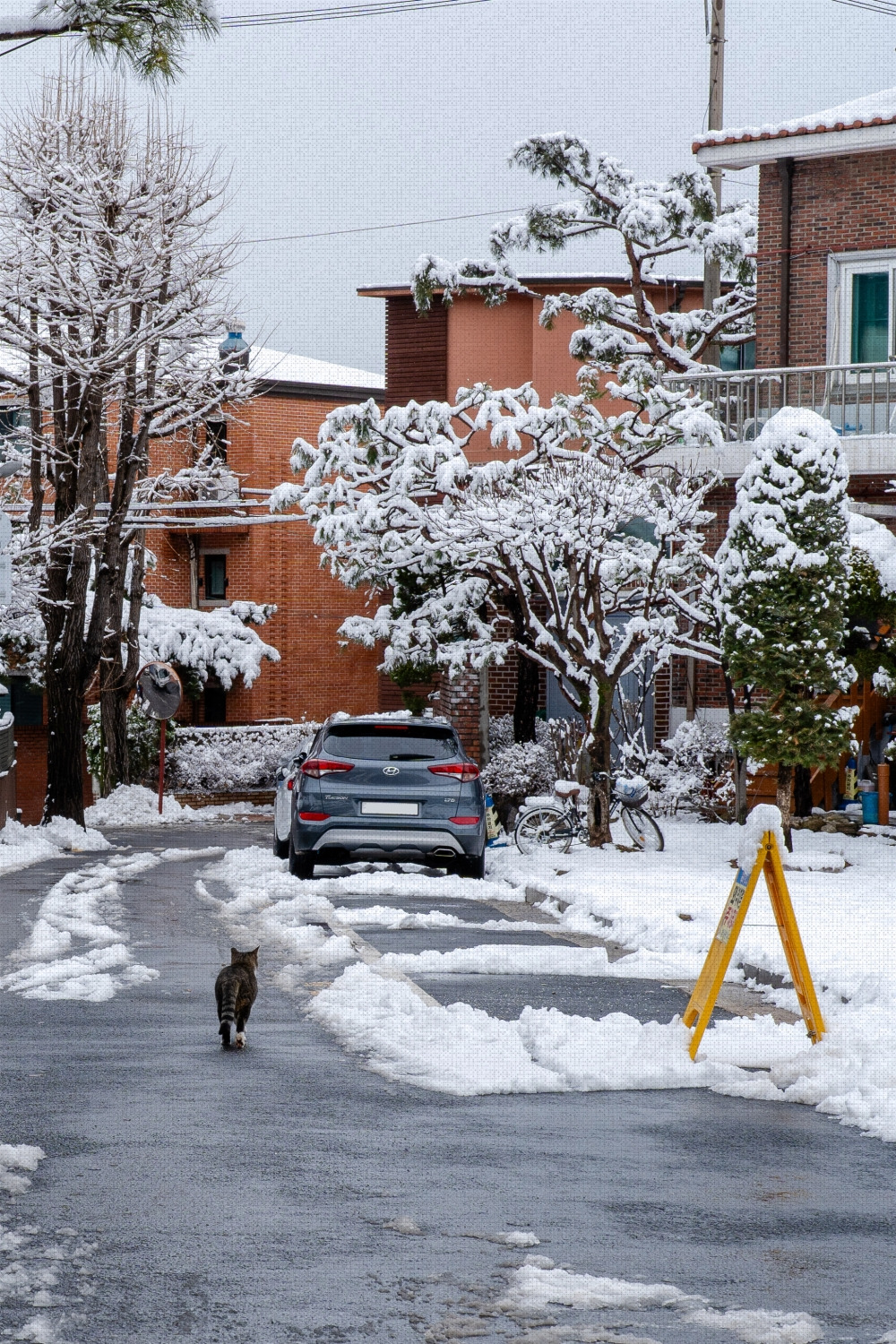 #winter #18 DSC07711.jpg