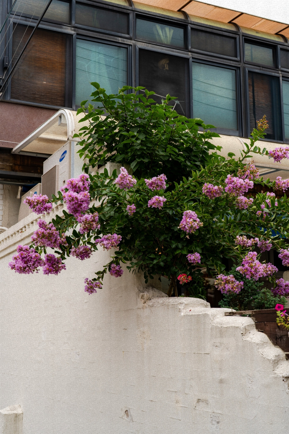 #summer #10 A7C03657.jpg