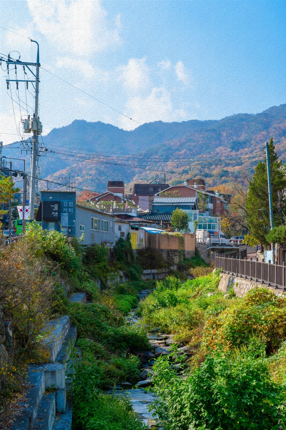 #winter #4 DSC06488.jpg