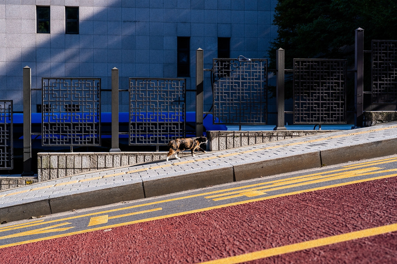 #autumn #20 A7C01191.jpg