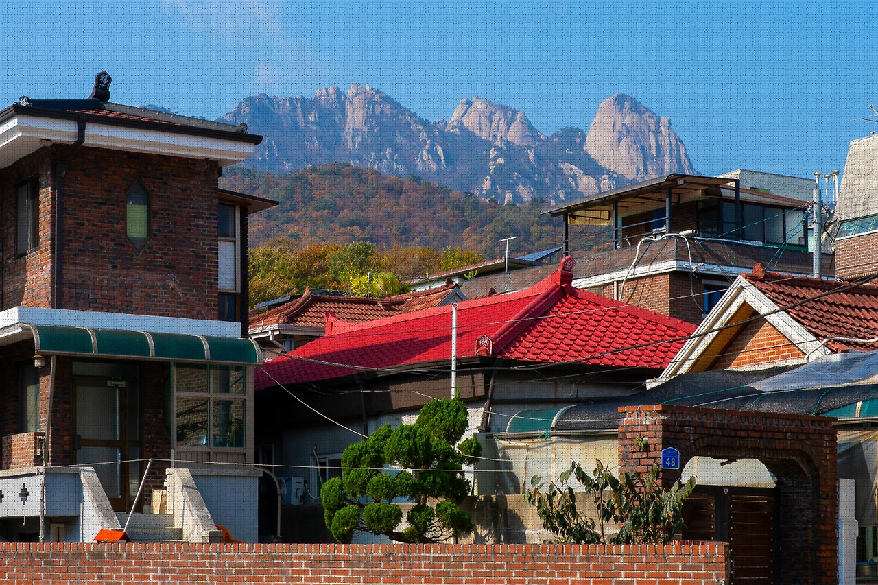 #autumn #11 DSC06484.jpg