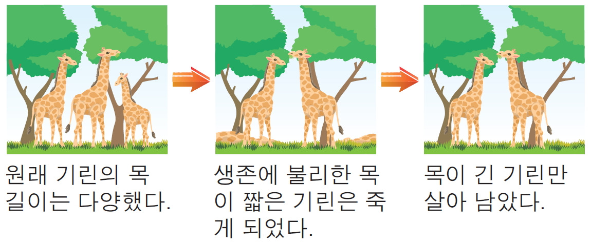00T33-00-33-08생물의 진화와 자연 선택 - 01.jpg
