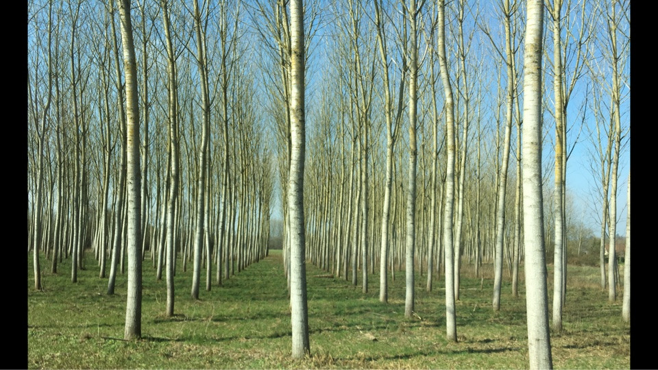 externalFile (6).jpg