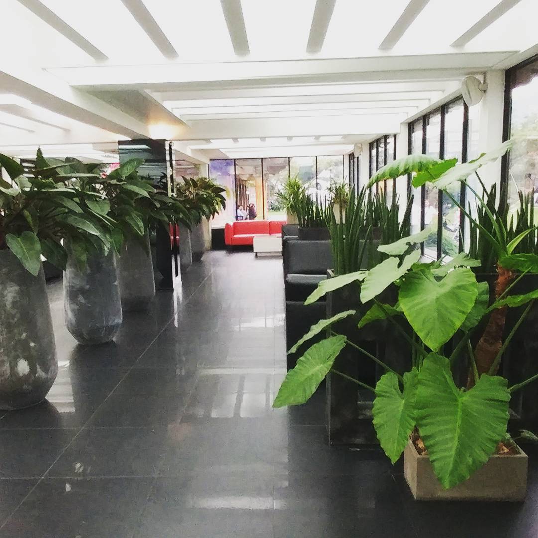 경기도카페추천 서울근교나들이 카페단궁 여유로운주말 팥빙수.jpg