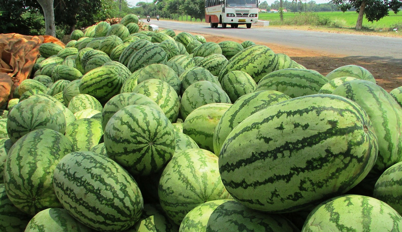 watermelon-331278_1920.jpg