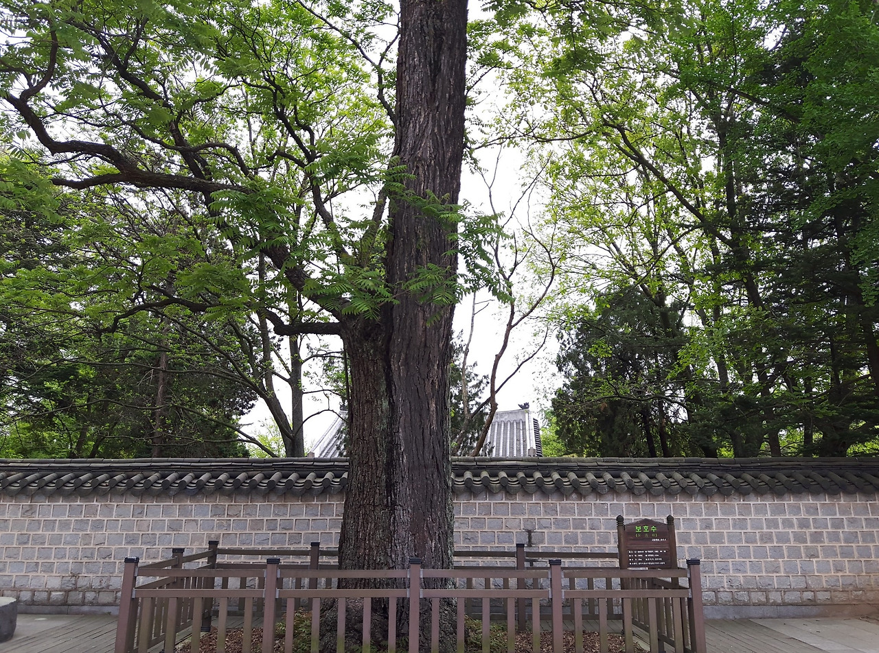 20210427_130204 (1).jpg