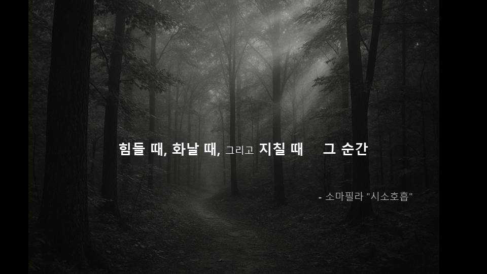 소마필라_ALL_ (영상.jpg