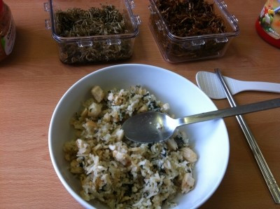 김자반과 차슈 소스 볶음밥.jpg