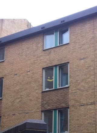 스마일 딘위디.jpg