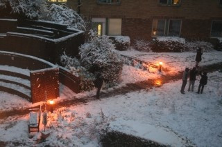 딘위디 겨울.jpg