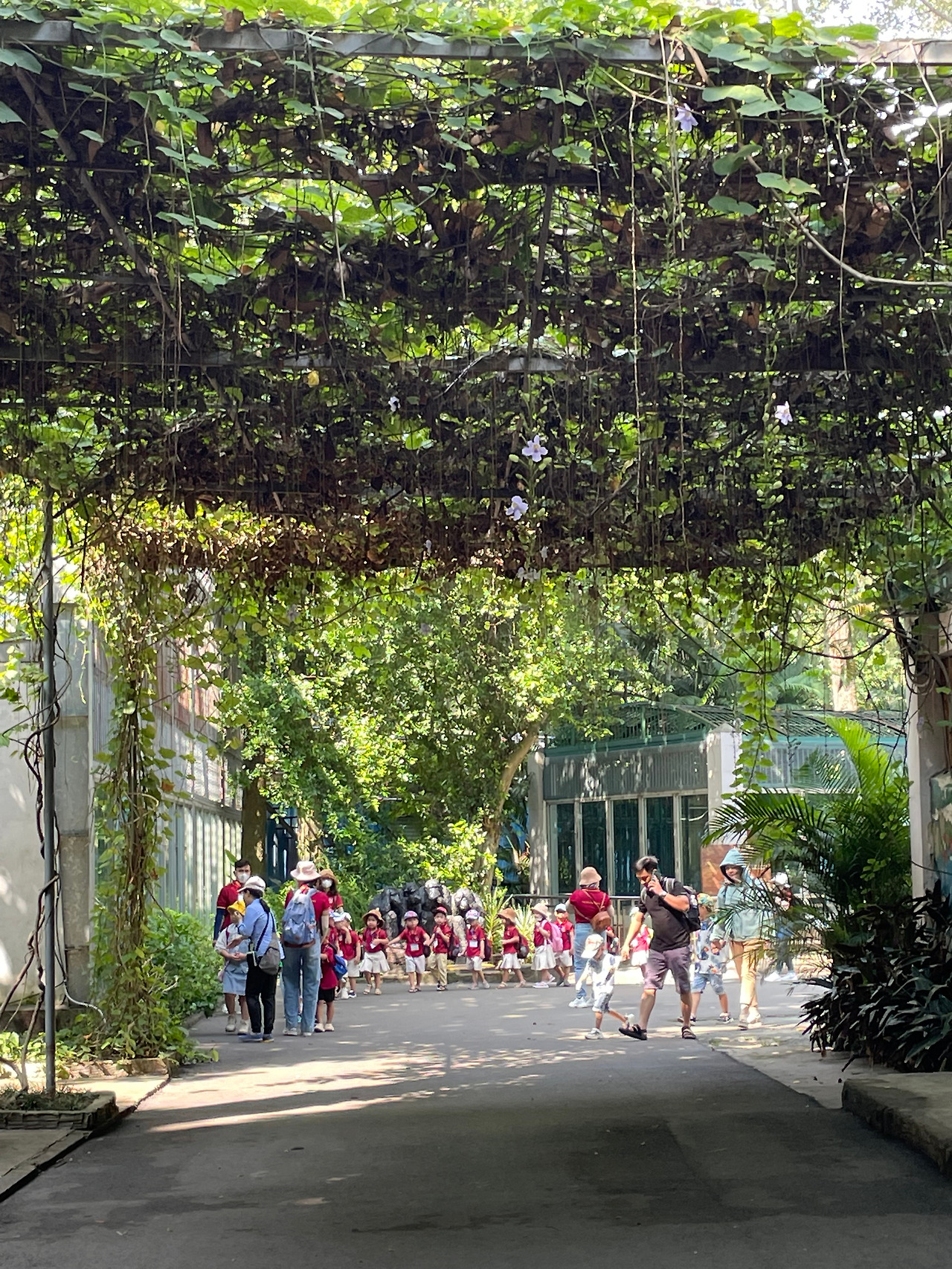 동물원 어린이.jpg