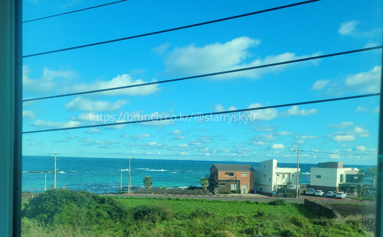 20241004_083754 -6. 블랑쉬하도.jpg