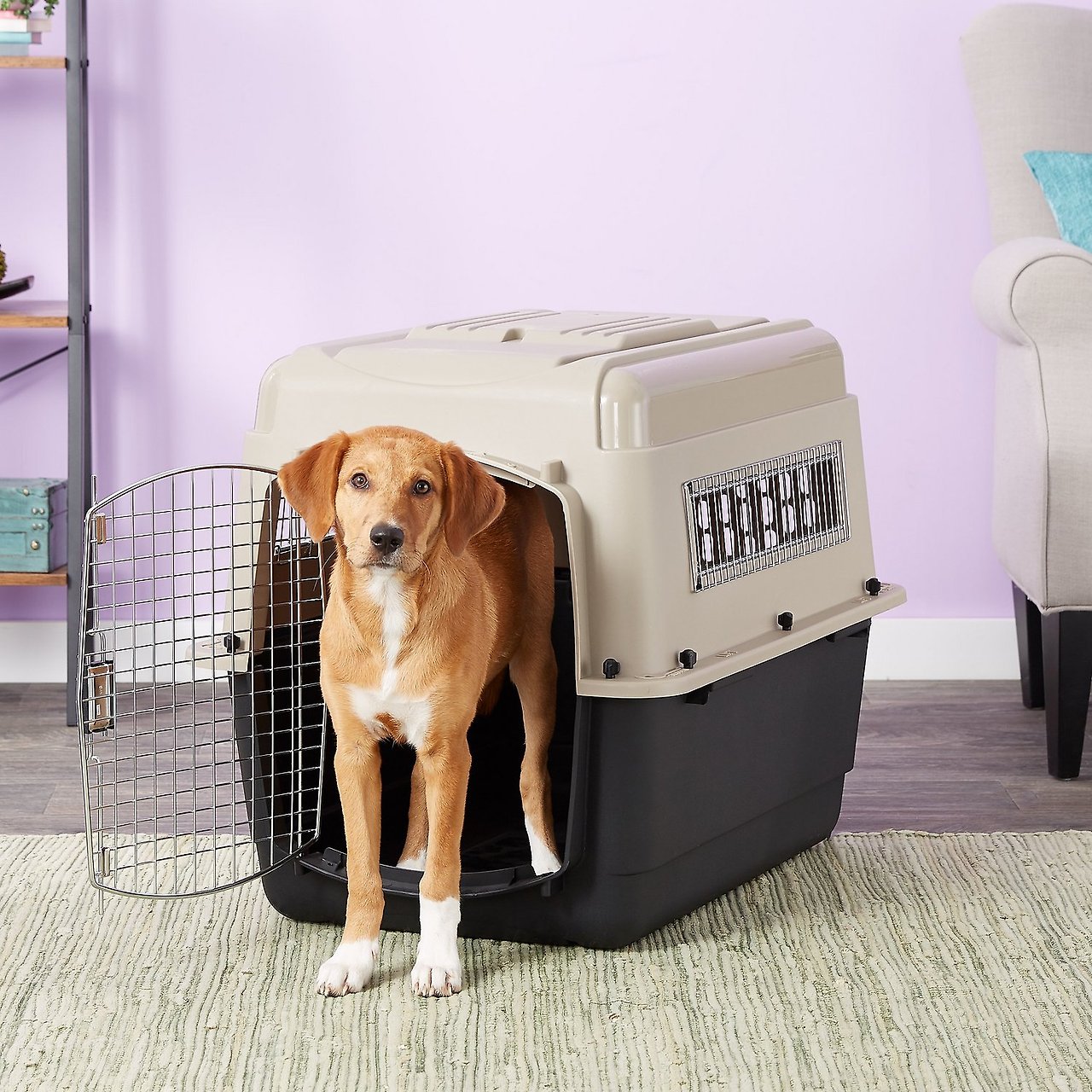 플라스틱 크레이트.jpg