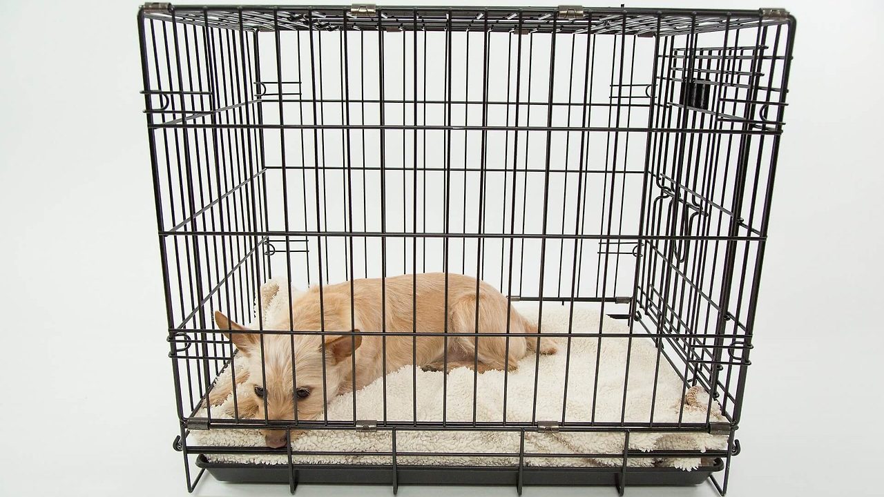 와이어 크레이트.jpg