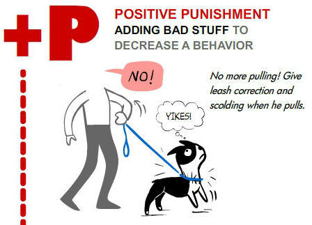 positive-punishment.jpg