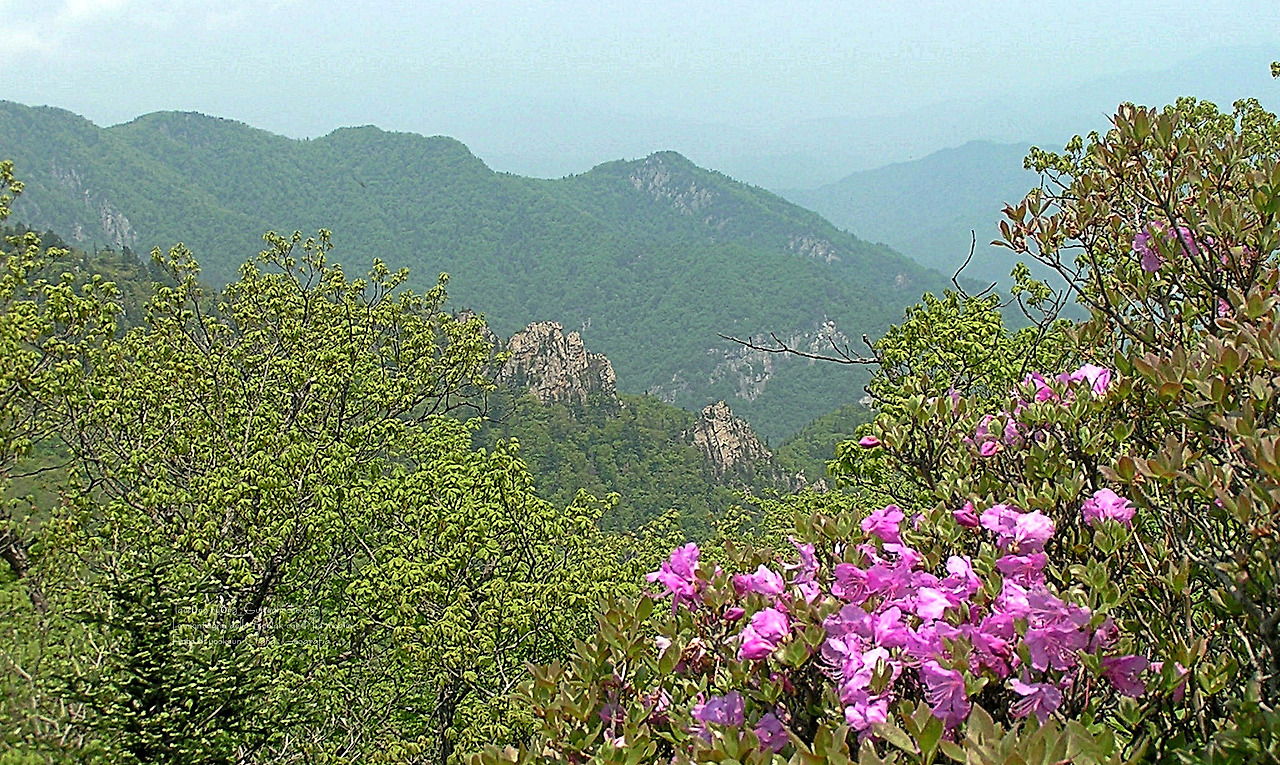 마등령,귀떼기청 5월30일 072.jpg