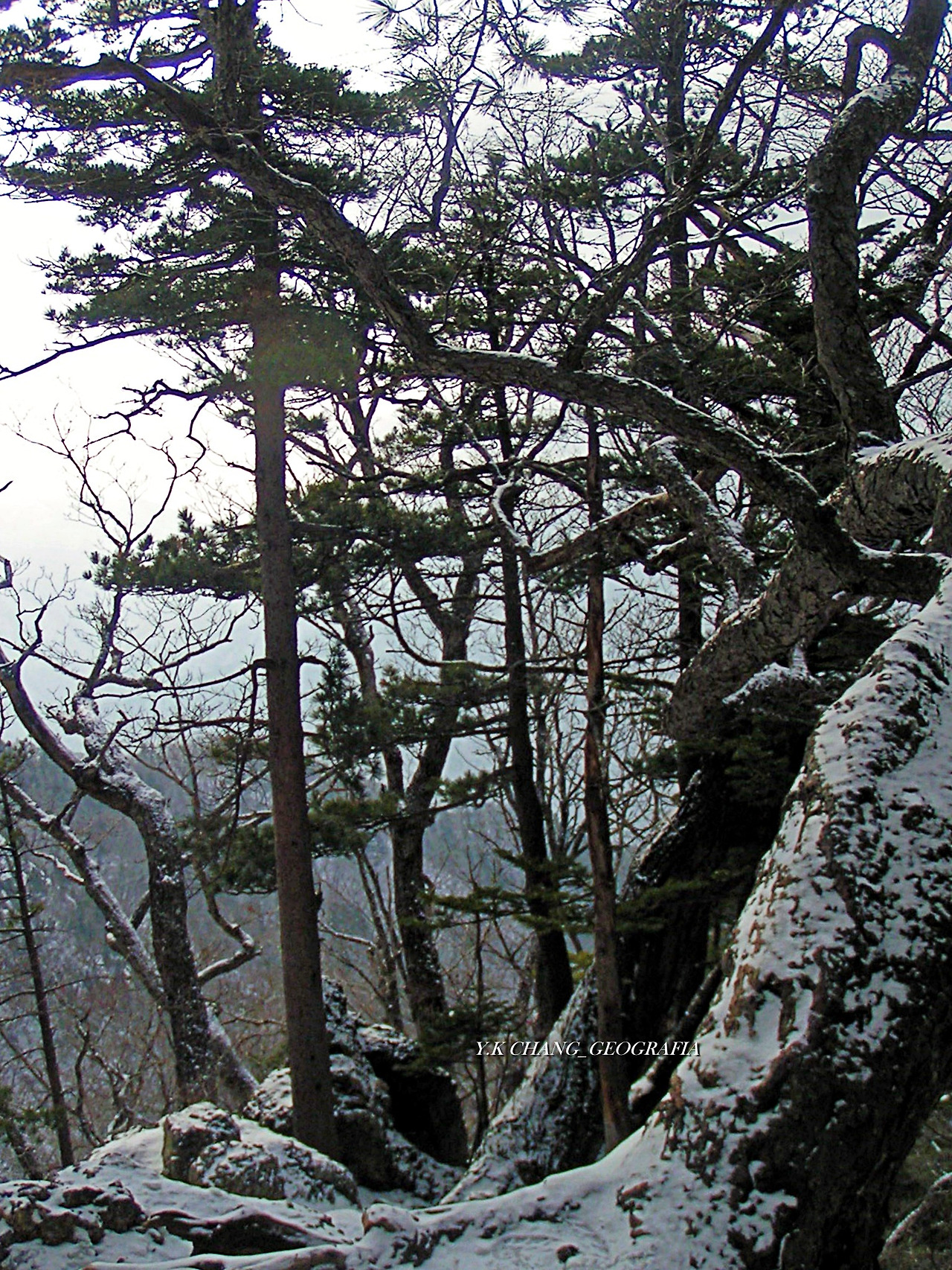 설악산 대청봉 019-1.jpg