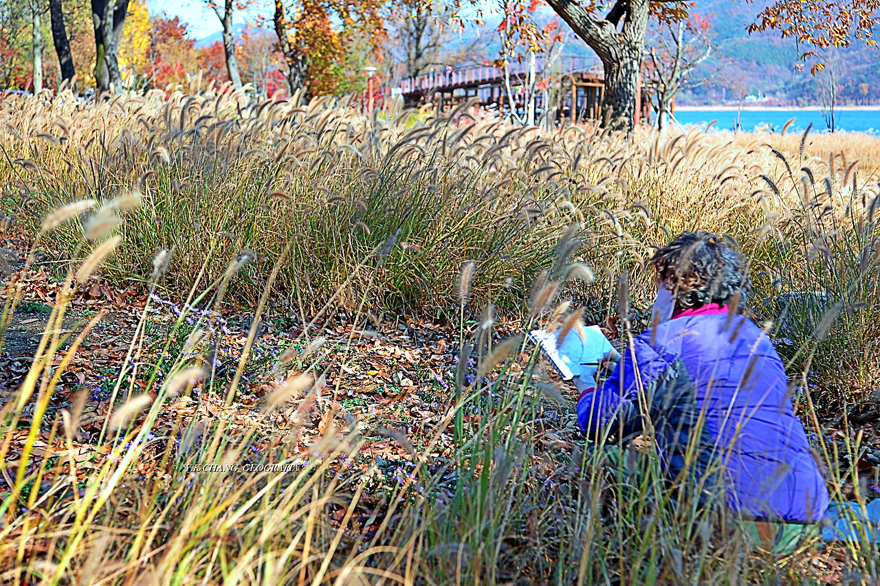 정약용능내리 265-1.jpg