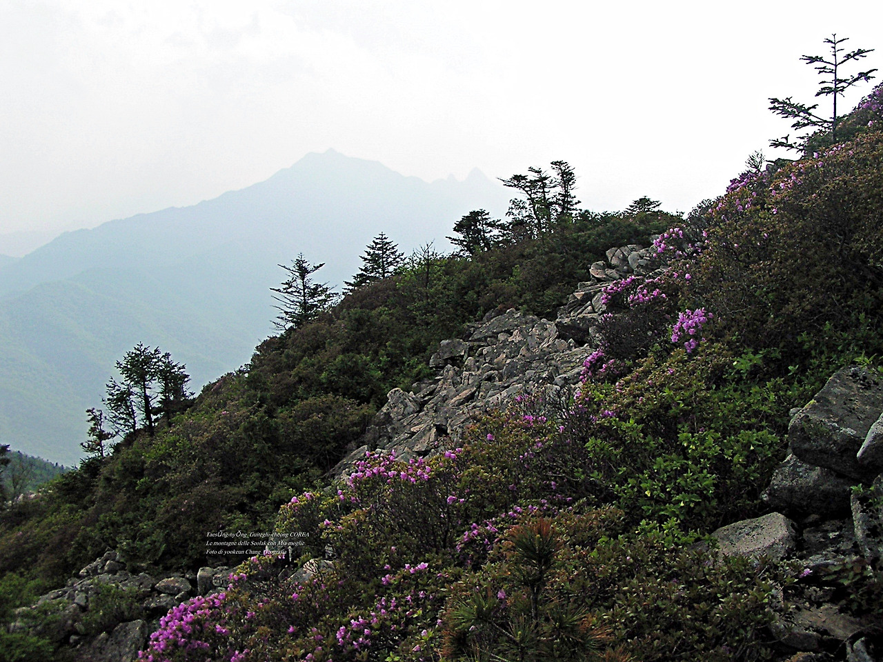 마등령,귀떼기청 5월30일 207.jpg