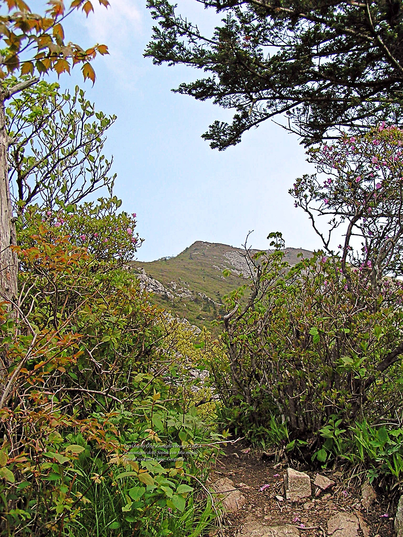 마등령,귀떼기청 5월30일 161.jpg