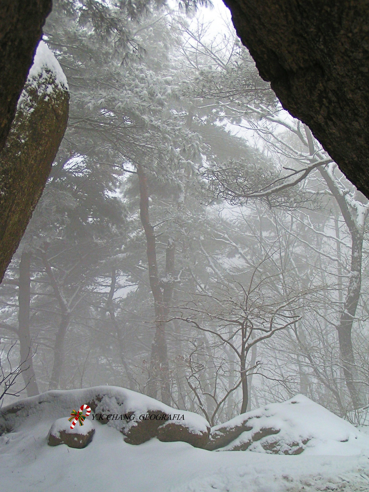 눈오는 날 청계산 058-1.jpg