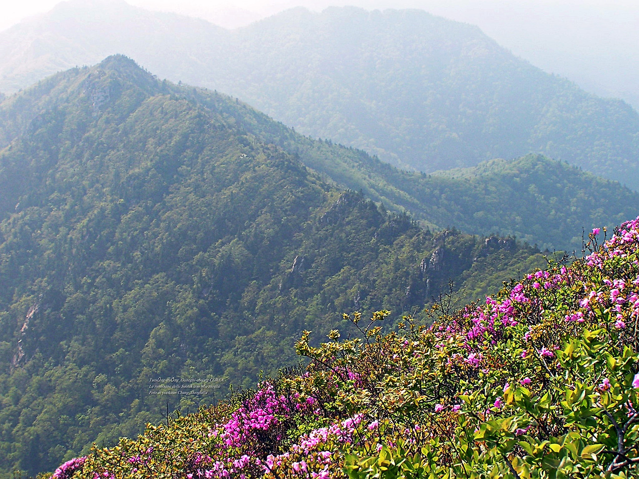 마등령,귀떼기청 5월30일 186.jpg