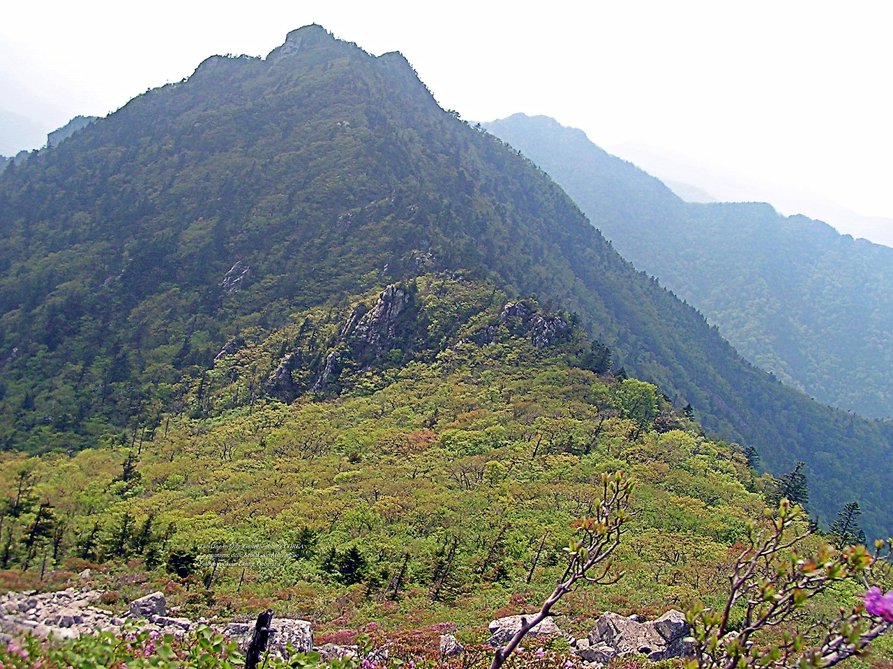 마등령,귀떼기청 5월30일 169.jpg