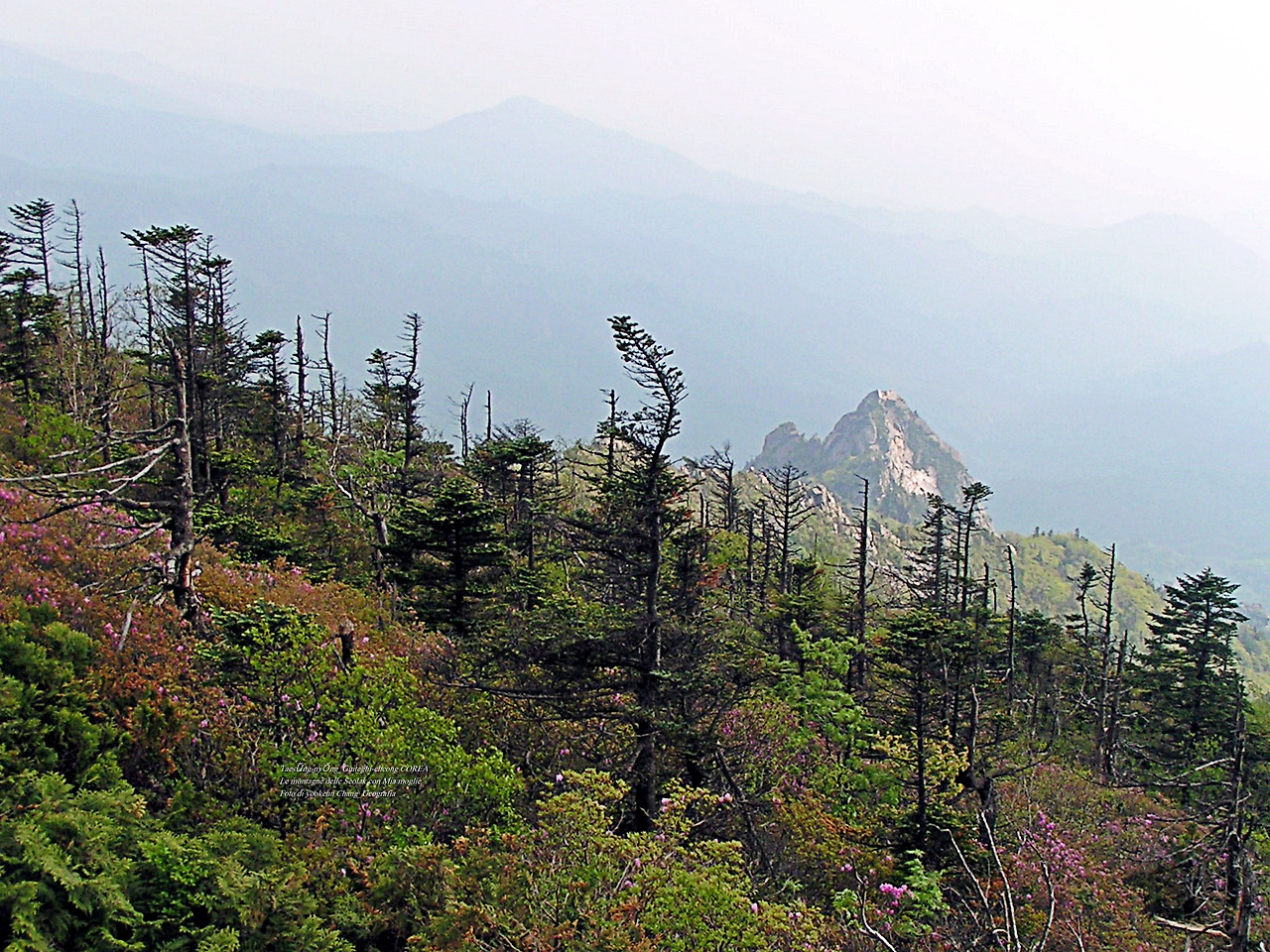 마등령,귀떼기청 5월30일 197.jpg