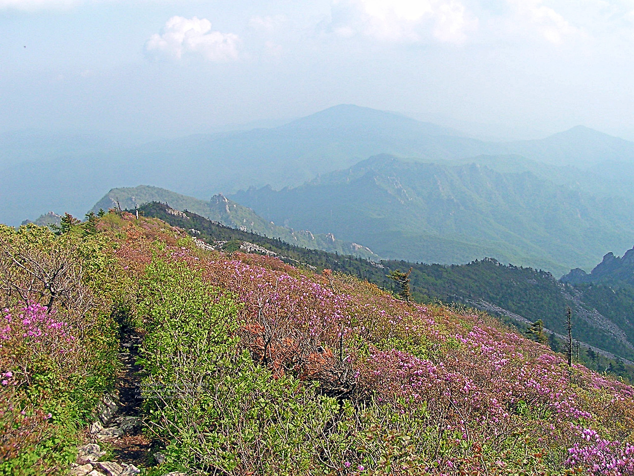 마등령,귀떼기청 5월30일 190.jpg