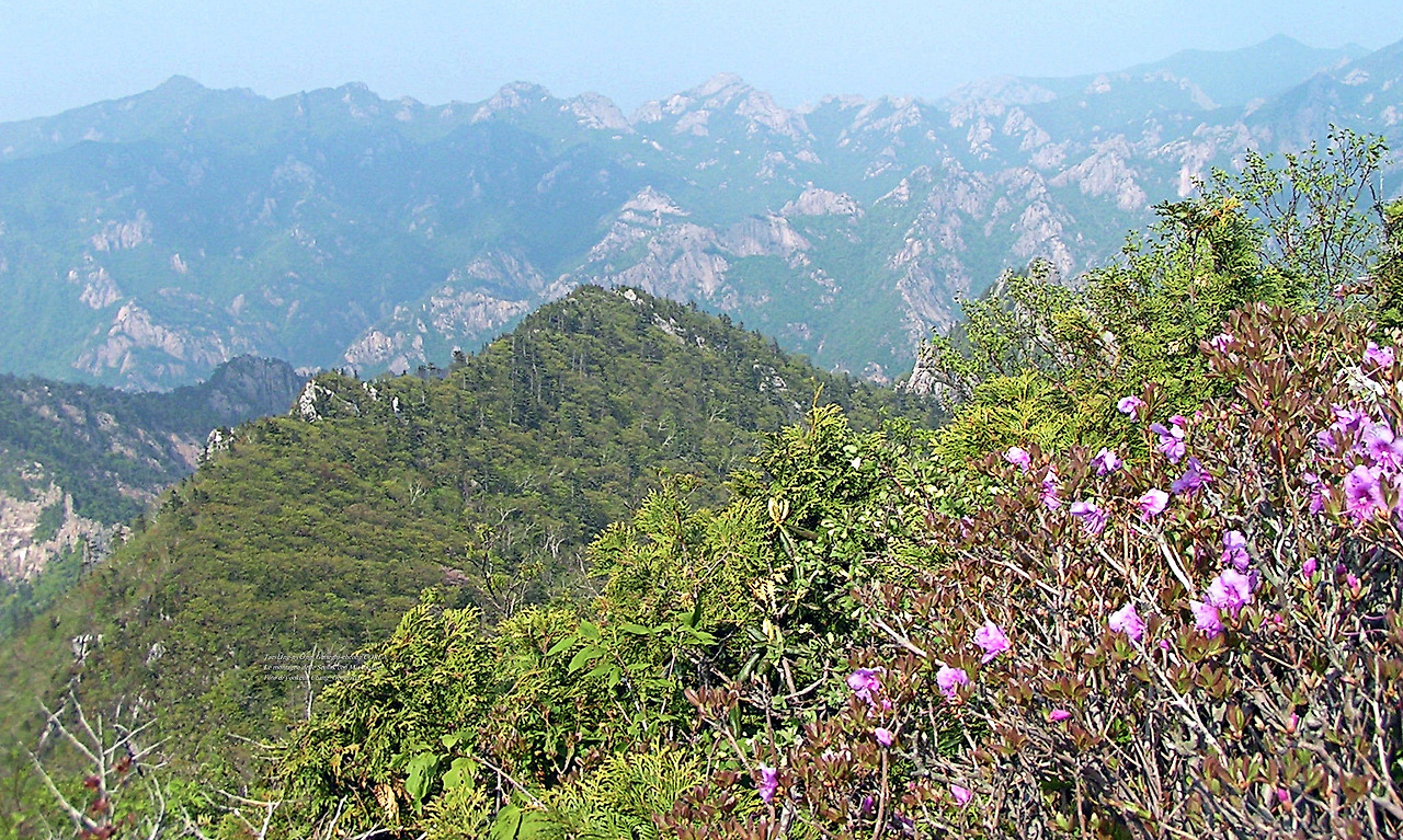 마등령,귀떼기청 5월30일 175.jpg