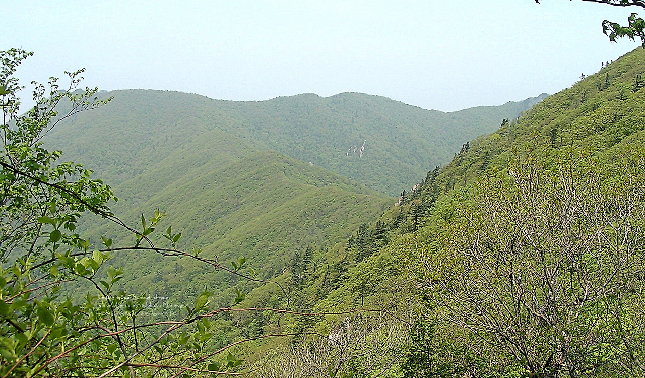 마등령,귀떼기청 5월30일 052.jpg