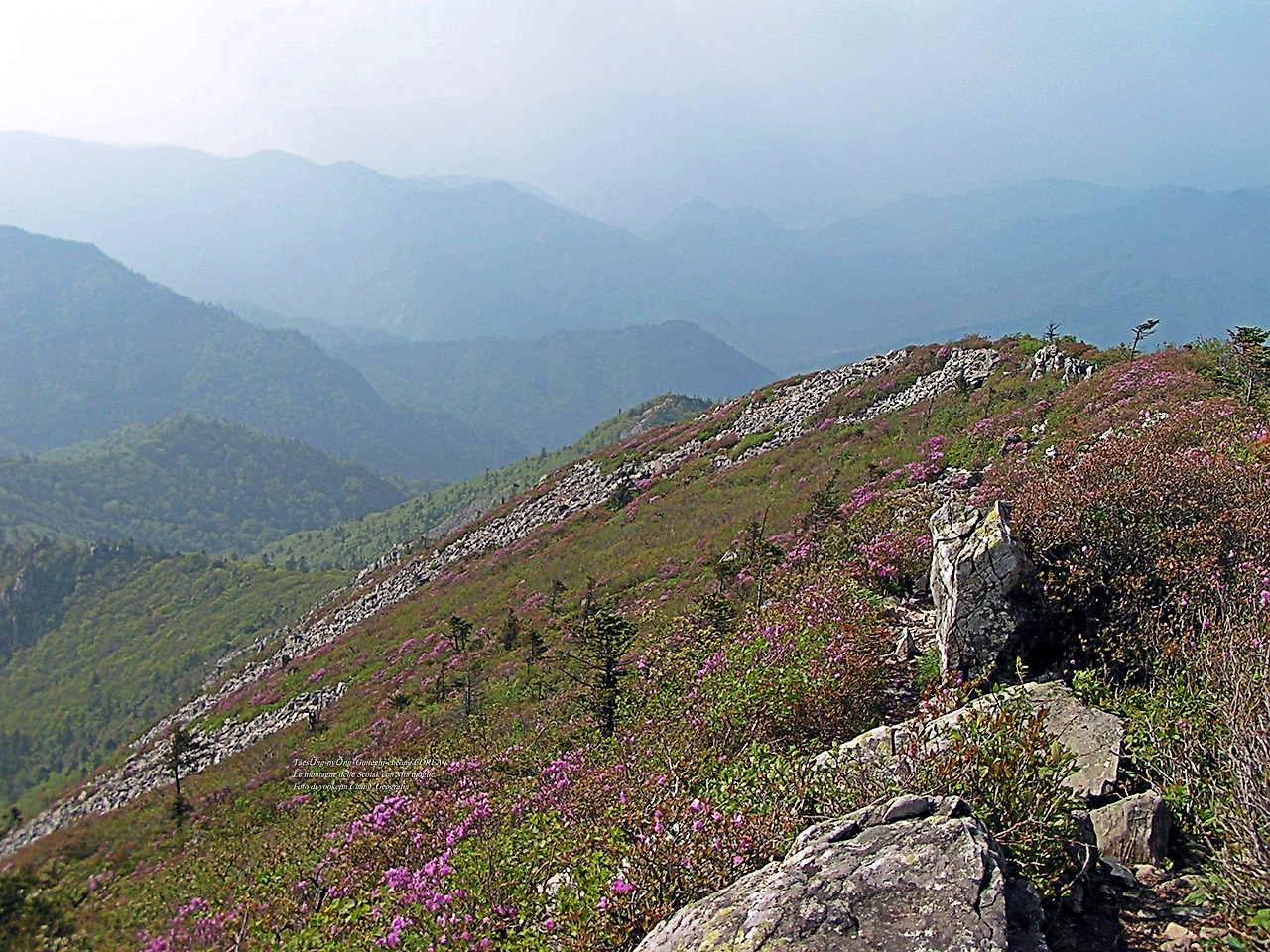 마등령,귀떼기청 5월30일 182.jpg