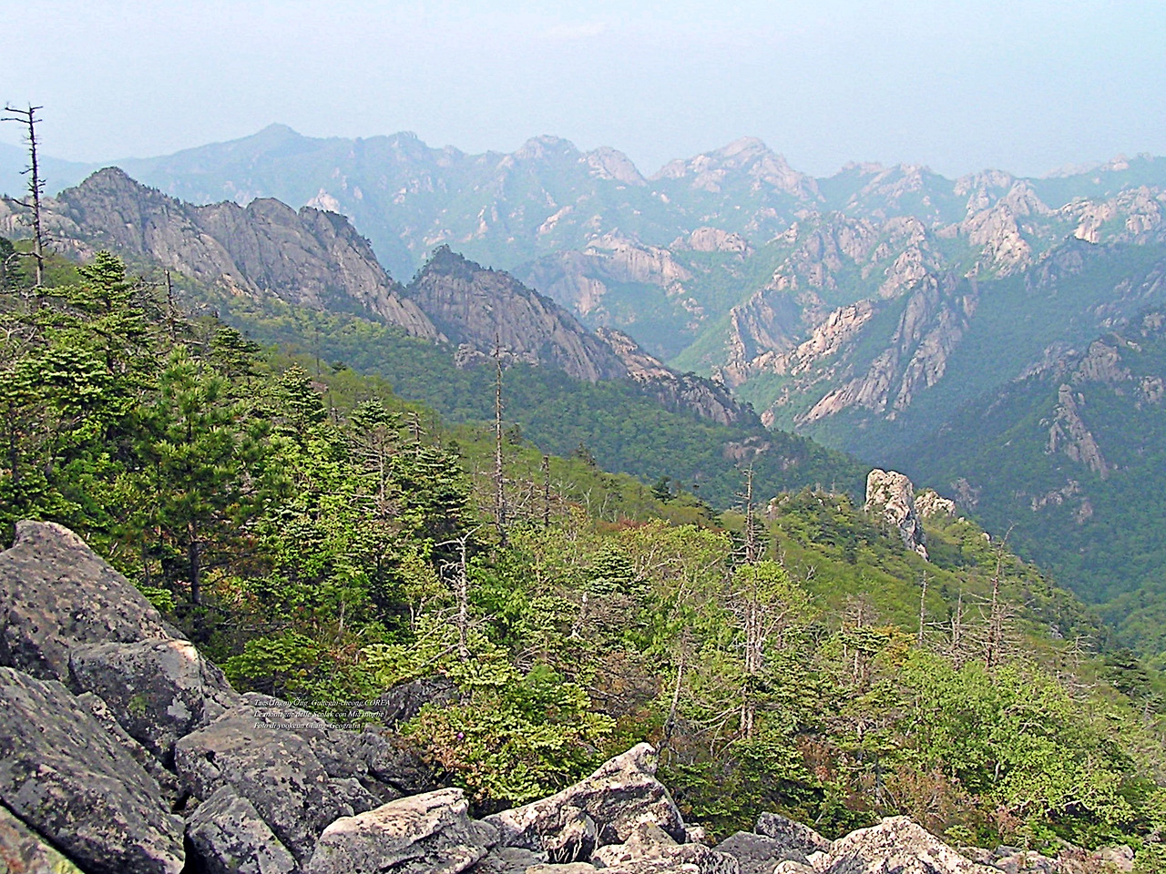 마등령,귀떼기청 5월30일 210.jpg