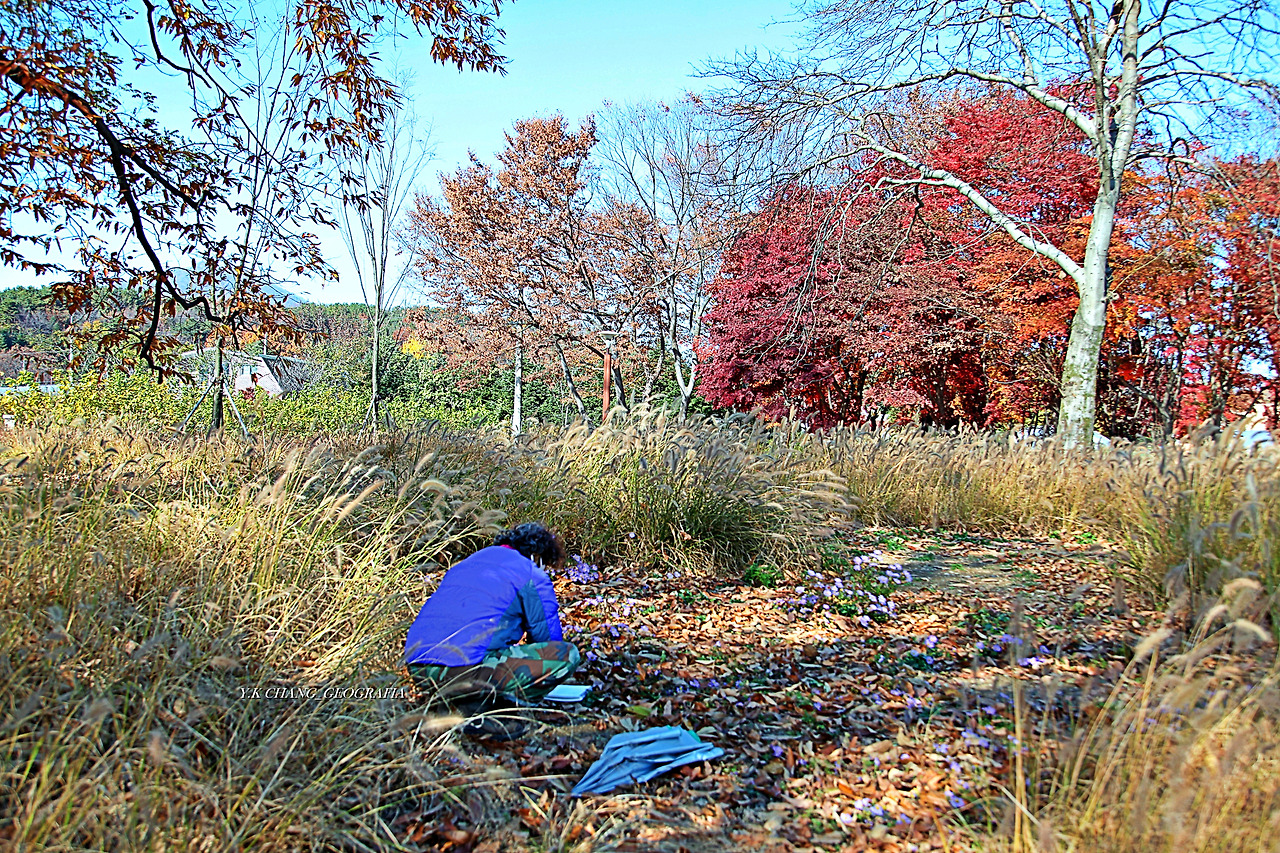 정약용능내리 249-1.jpg