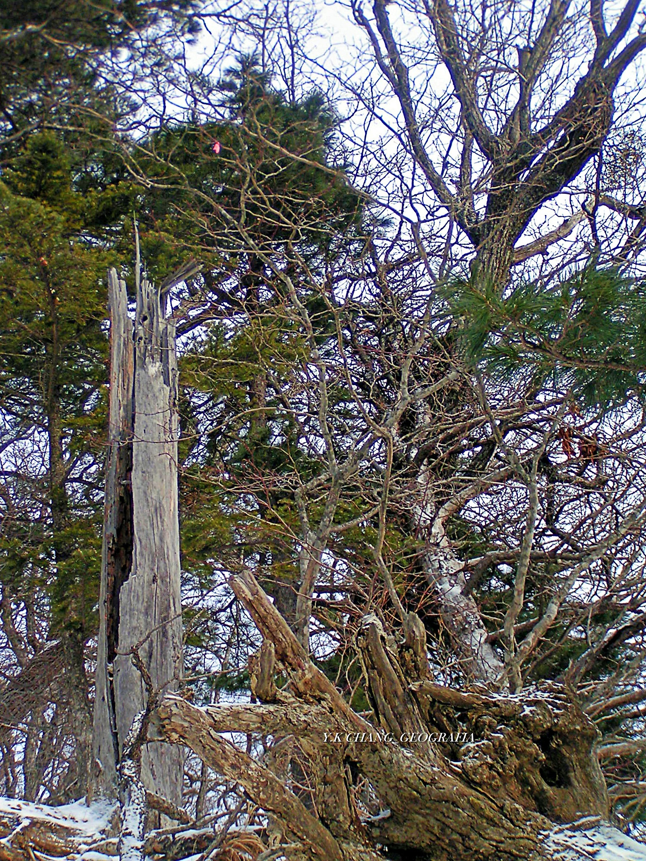 설악산 대청봉 020-1.jpg