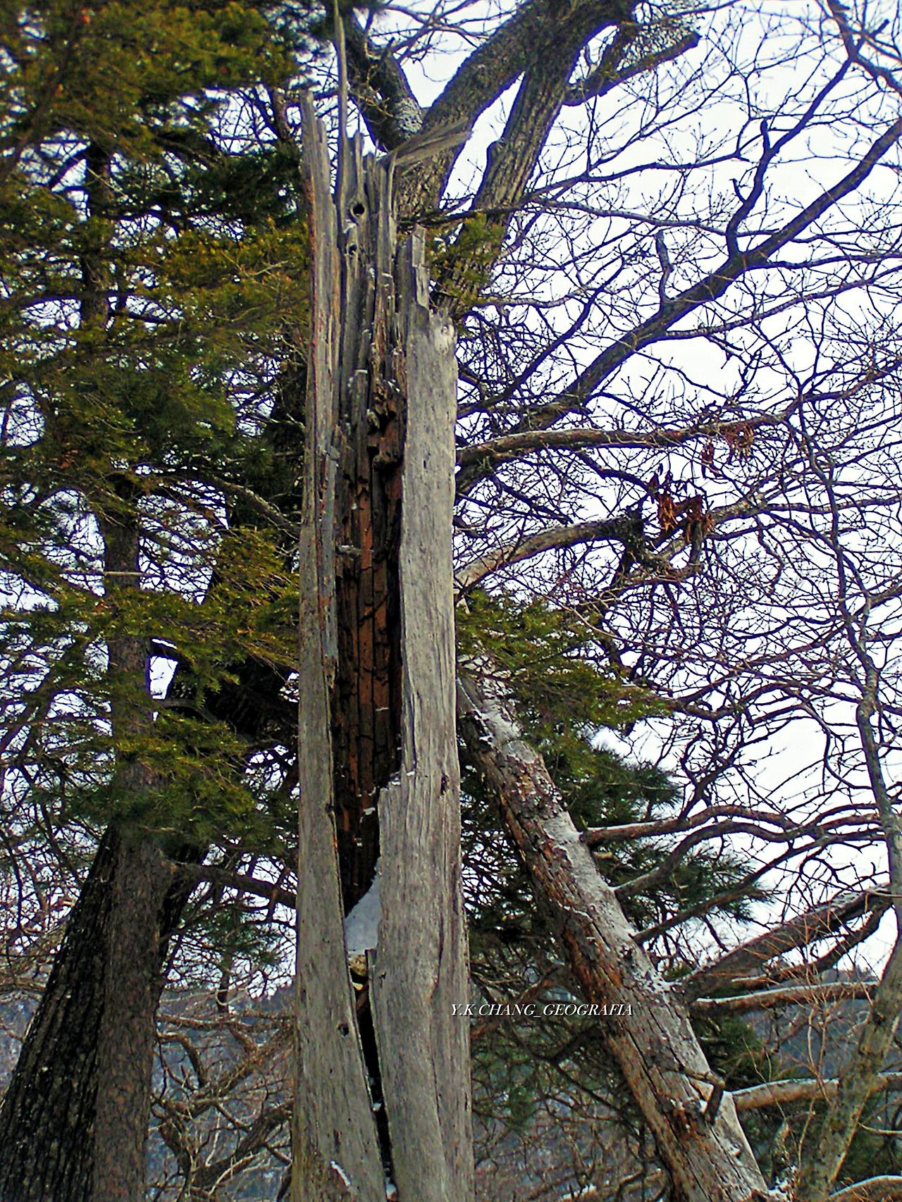 설악산 대청봉 021-1.jpg