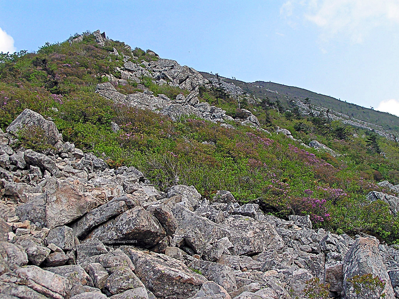 마등령,귀떼기청 5월30일 164.jpg