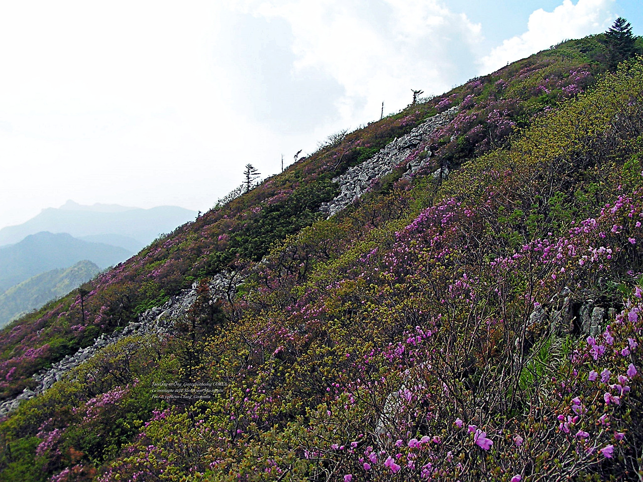 마등령,귀떼기청 5월30일 194.jpg