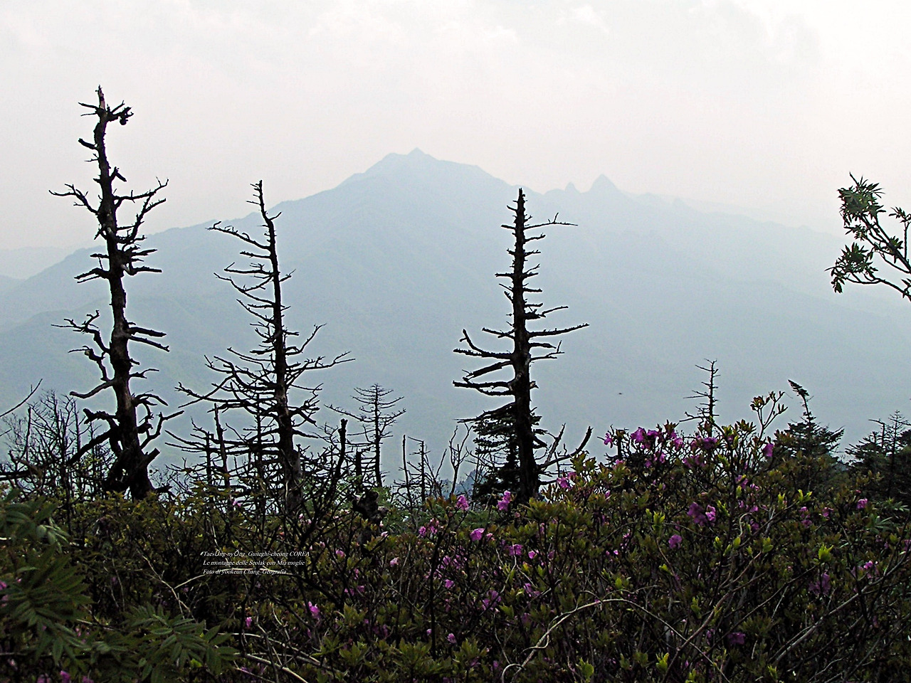 마등령,귀떼기청 5월30일 204.jpg