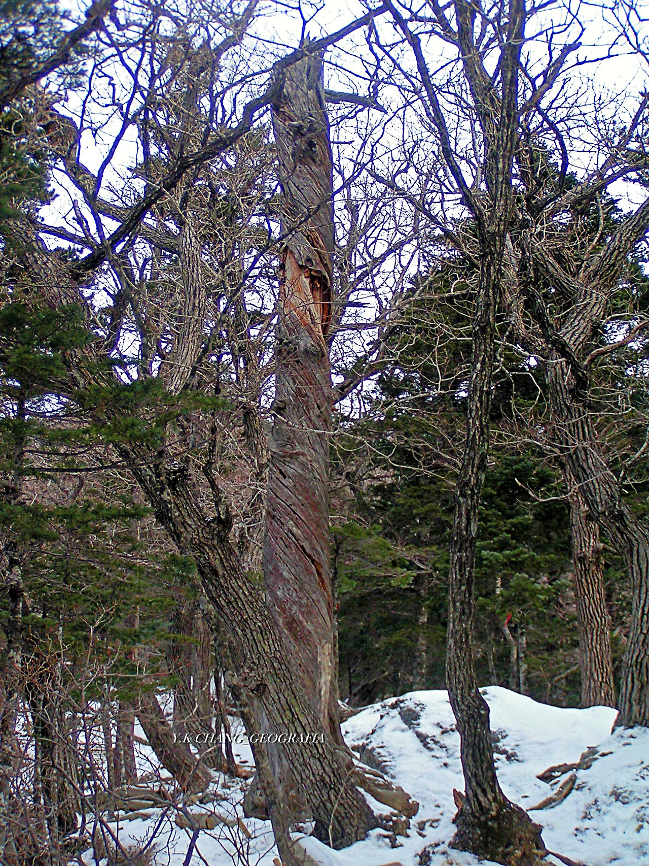 설악산 대청봉 030-1.jpg